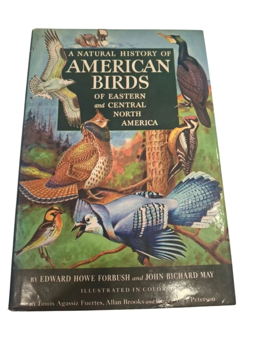 1955 Natural History American Birds Forbush May Hardcover DJ Illustrated Vintage